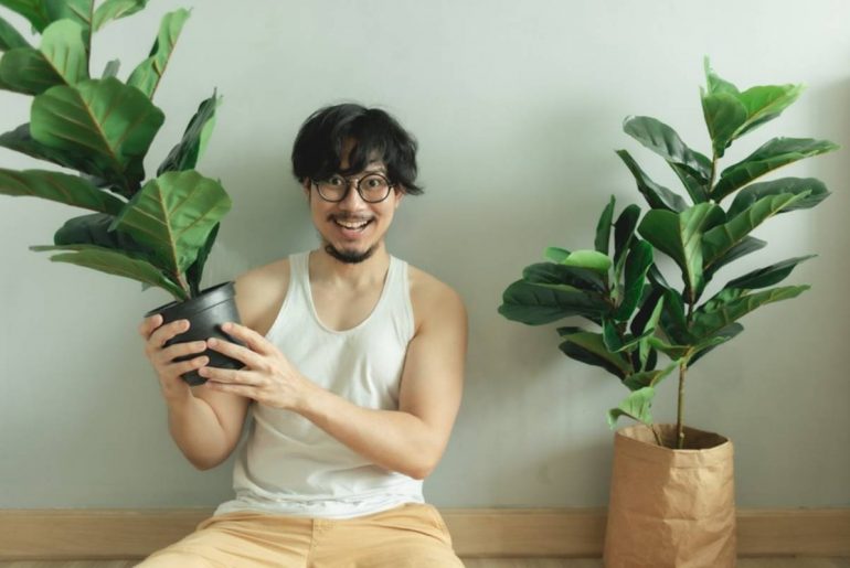 Consejos para cuidar plantas dentro de casa