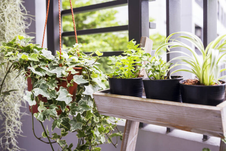 Cómo tener un jardín pequeño en tu departamento