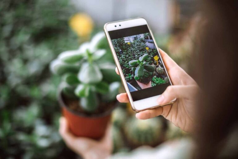 plantas celular app