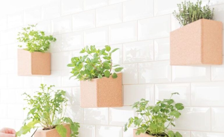 ¿Cómo colocar una pared de plantas en tu departamento?