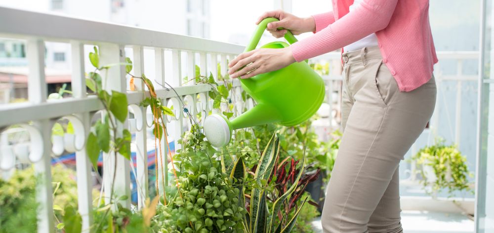 6 tips para empezar a hacer un pequeño huerto en tu balcón