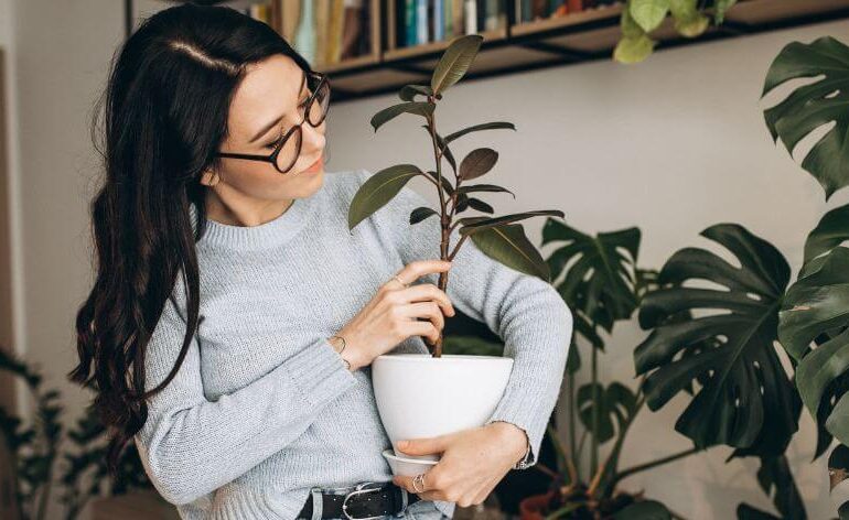 5 beneficios de tener plantas de interior en casa