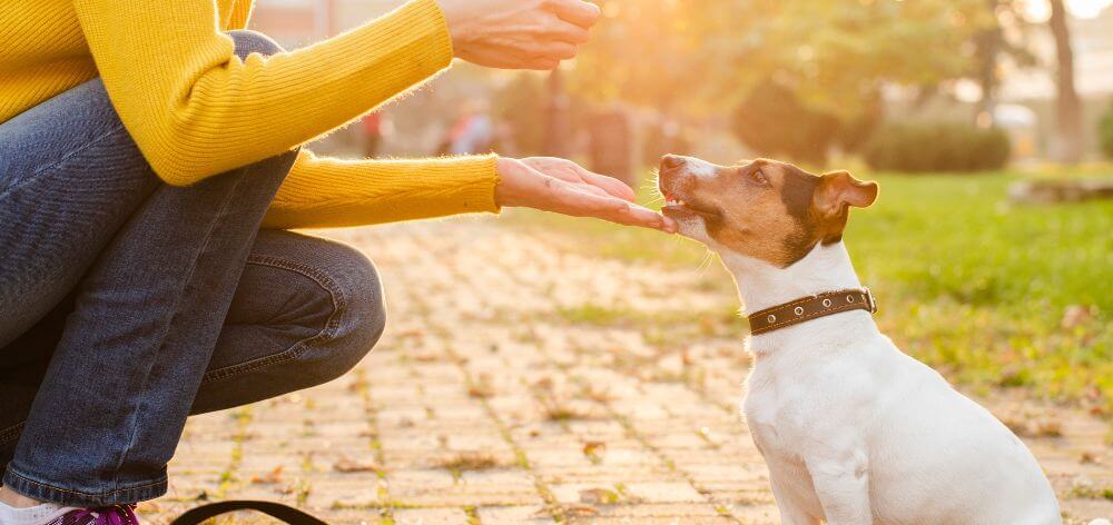 Conoce 8 tips para saber cómo ser un buen vecino