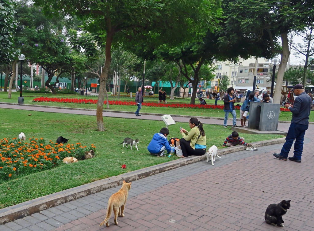 parque kennedy miraflores