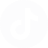 TikTok icon